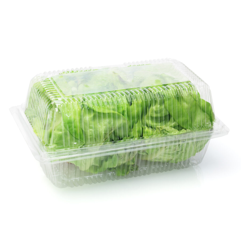 Salad Container Clamshell Plastic Clamshell Salad Box - Reliancepak