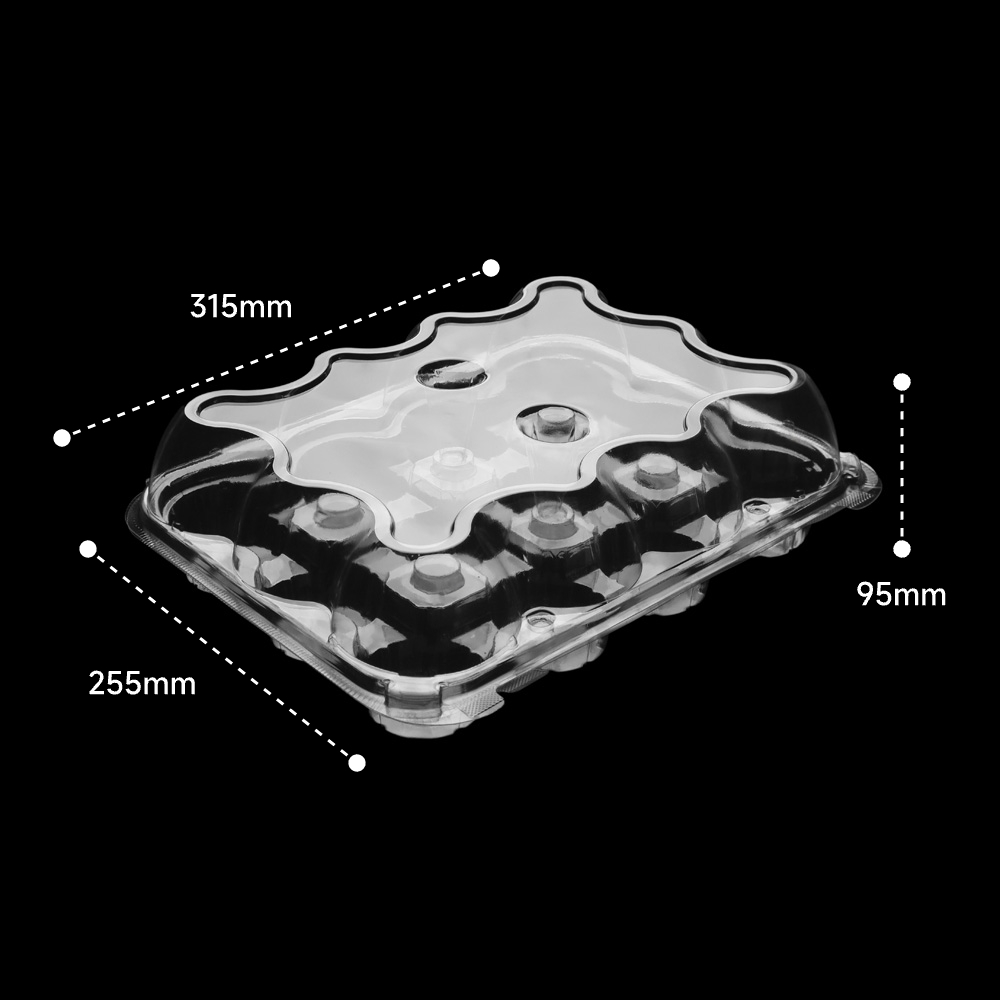 Stable Wholesale Supply 12 Cavities Large Portion Disposable Plastic ...