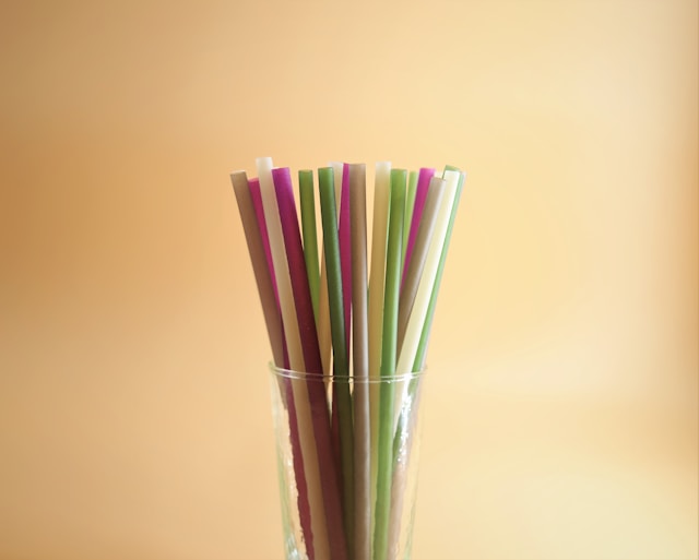 biodegradable straw