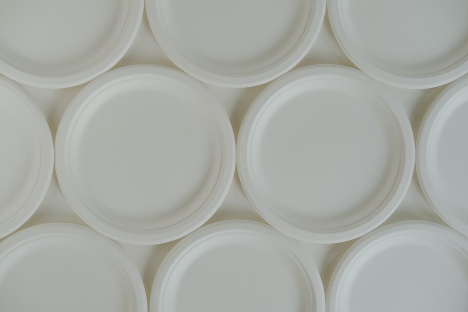 Disposable bagasse plate
