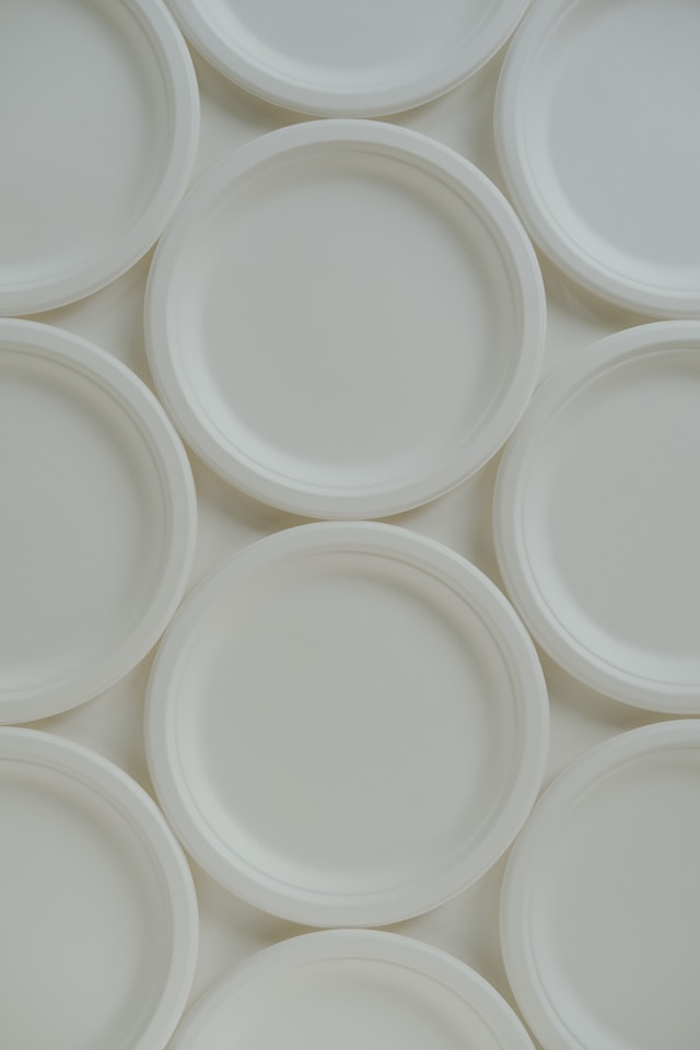 bagasse food tray