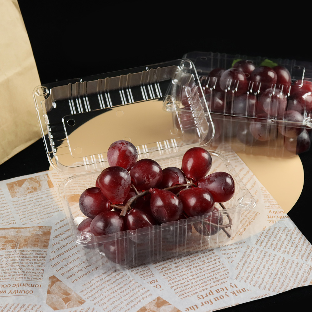 Types and Applications of Food Plastic Containers: A Comprehensive Guide