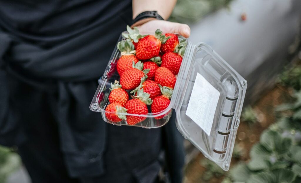 Being BPA-free is one of the basic standards for qualified food containers