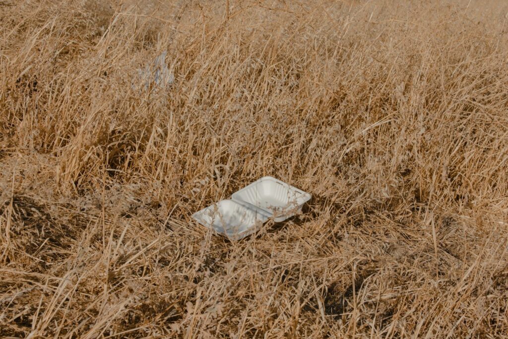 A discarded packaging box lying among weeds