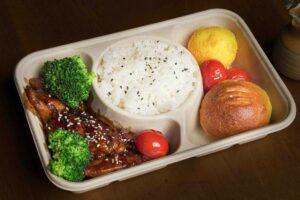 Bagasse-based biodegradable food container